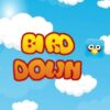 birddown